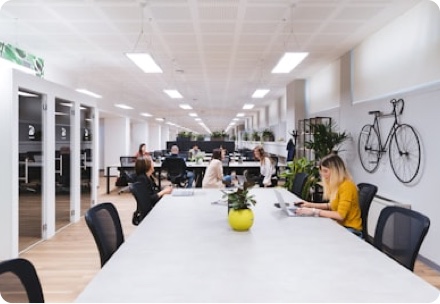 InnoShop - 创新电商，智选未来